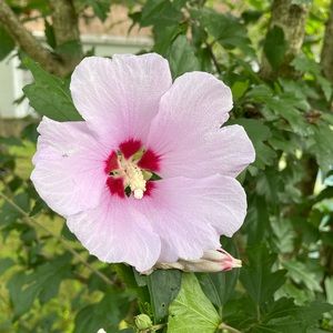 I love offers. Put 2 or more items in a bundle for a 15% discount.